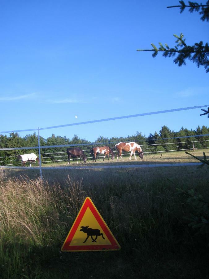 Romantikmuehle Heartlandranch Krummenau